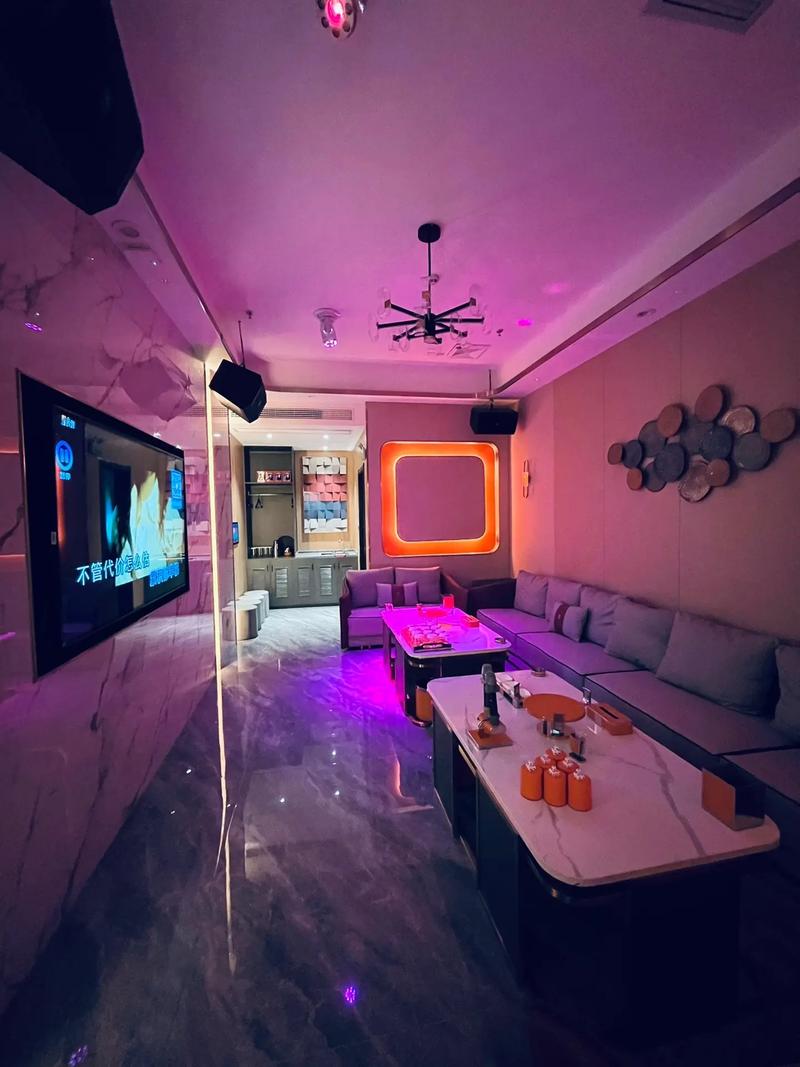 毕节商务ktv哪里有高品质选择-织金县ktv预订